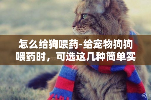 怎么給狗喂藥-給寵物狗狗喂藥時，可選這幾種簡單實用的方法