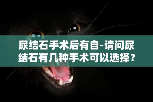 尿結石手術后有自-請問尿結石有幾種手術可以選擇？