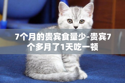 7個月的貴賓食量少-貴賓7個多月了1天吃一頓