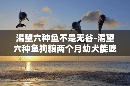 渴望六種魚不是無谷-渴望六種魚狗糧兩個月幼犬能吃嗎蛋白質是不是太高了