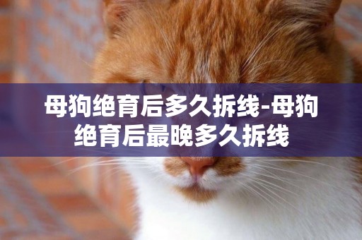 母狗絕育后多久拆線-母狗絕育后最晚多久拆線