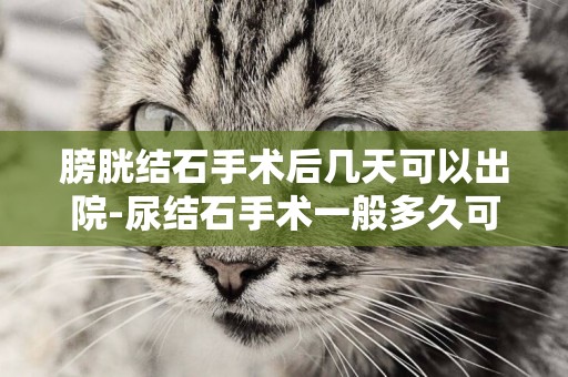 膀胱結石手術后幾天可以出院-尿結石手術一般多久可以出院？