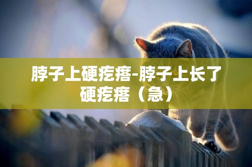 脖子上硬疙瘩-脖子上長了硬疙瘩（急）