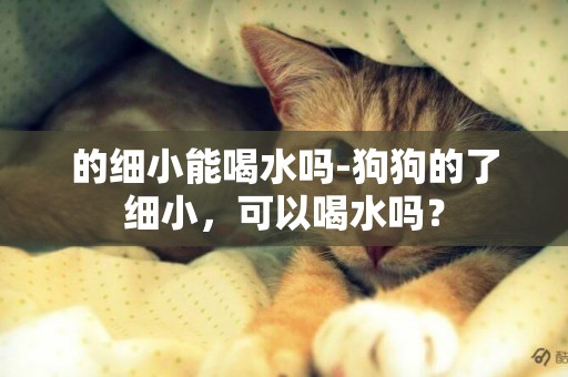 的細小能喝水嗎-狗狗的了細小，可以喝水嗎？