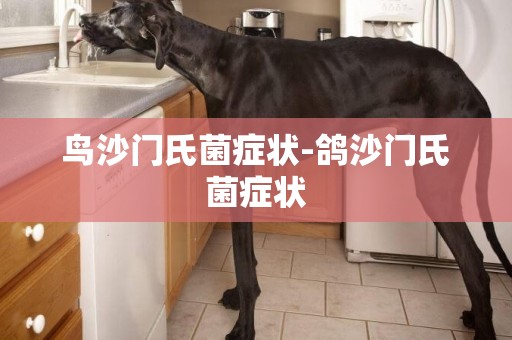 鳥沙門氏菌癥狀-鴿沙門氏菌癥狀