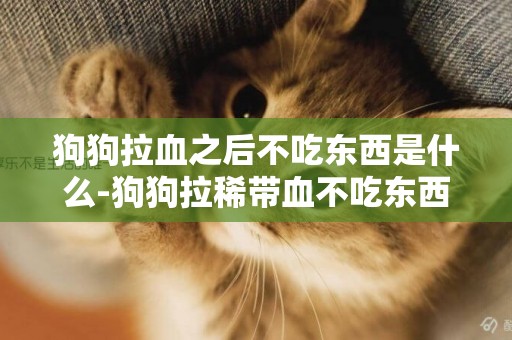 狗狗拉血之后不吃東西是什么-狗狗拉稀帶血不吃東西