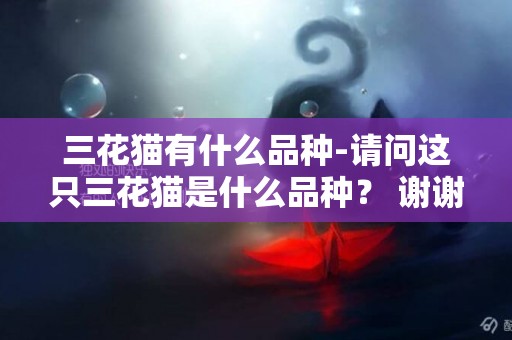 三花貓有什么品種-請問這只三花貓是什么品種？ 謝謝