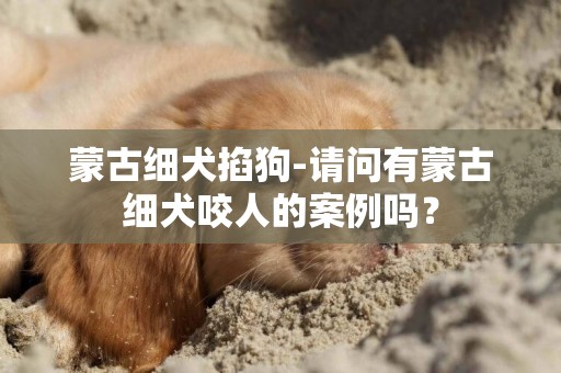 蒙古細犬掐狗-請問有蒙古細犬咬人的案例嗎？