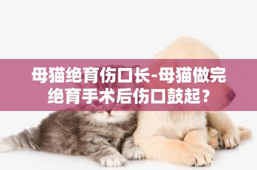 母貓絕育傷口長-母貓做完絕育手術后傷口鼓起？