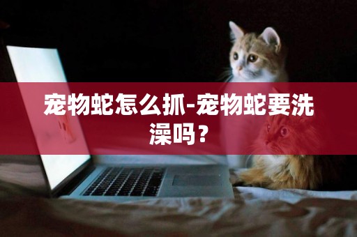 寵物蛇怎么抓-寵物蛇要洗澡嗎？