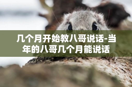 幾個月開始教八哥說話-當年的八哥幾個月能說話
