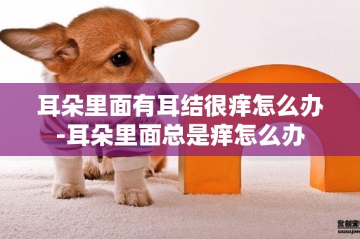 耳朵里面有耳結很癢怎么辦-耳朵里面總是癢怎么辦