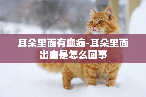耳朵里面有血痂-耳朵里面出血是怎么回事