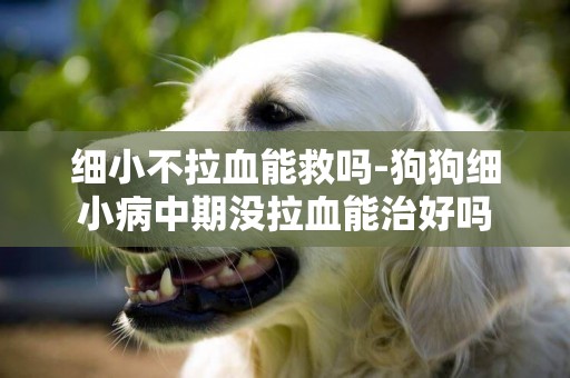 細小不拉血能救嗎-狗狗細小病中期沒拉血能治好嗎