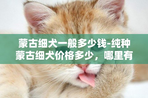 蒙古細犬一般多少錢-純種蒙古細犬價格多少，哪里有買