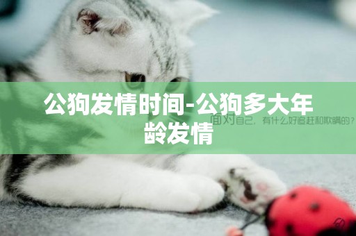 公狗發情時間-公狗多大年齡發情