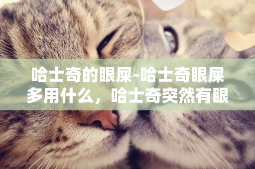 哈士奇的眼屎-哈士奇眼屎多用什么，哈士奇突然有眼屎