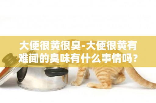 大便很黃很臭-大便很黃有難聞的臭味有什么事情嗎？