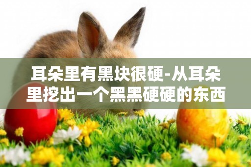 耳朵里有黑塊很硬-從耳朵里挖出一個黑黑硬硬的東西