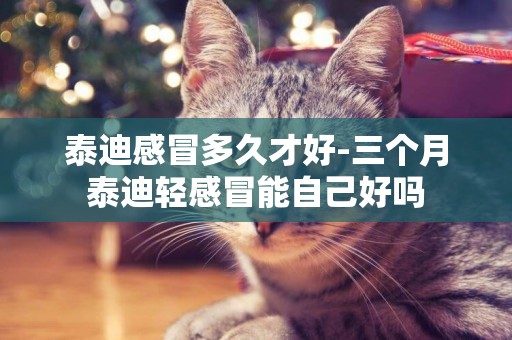 泰迪感冒多久才好-三個月泰迪輕感冒能自己好嗎
