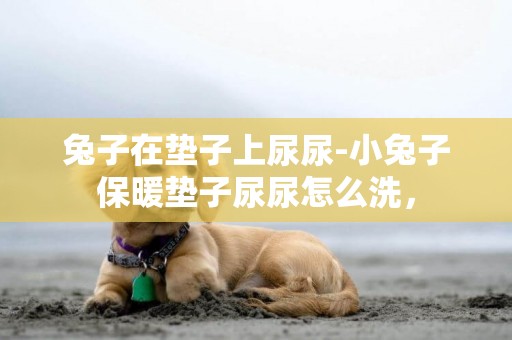 兔子在墊子上尿尿-小兔子保暖墊子尿尿怎么洗，