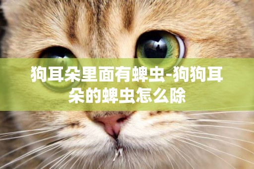 狗耳朵里面有蜱蟲-狗狗耳朵的蜱蟲怎么除
