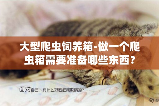 大型爬蟲飼養箱-做一個爬蟲箱需要準備哪些東西？