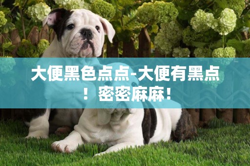 大便黑色點點-大便有黑點！密密麻麻！