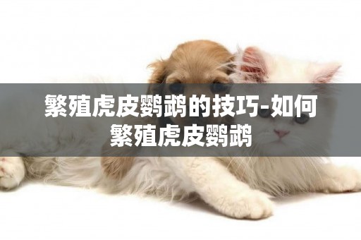 繁殖虎皮鸚鵡的技巧-如何繁殖虎皮鸚鵡