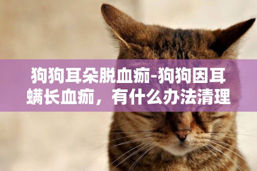 狗狗耳朵脫血痂-狗狗因耳螨長血痂，有什么辦法清理掉嗎