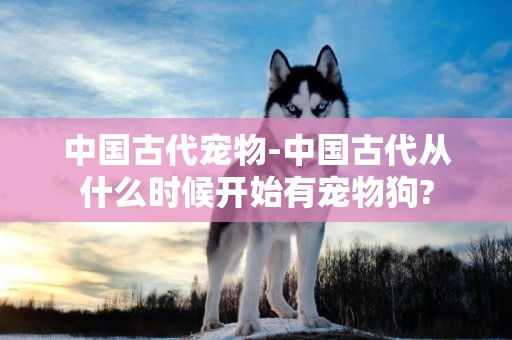 中國古代寵物-中國古代從什么時候開始有寵物狗?