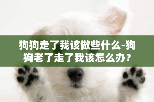 狗狗走了我該做些什么-狗狗老了走了我該怎么辦？