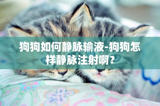 狗狗如何靜脈輸液-狗狗怎樣靜脈注射啊？