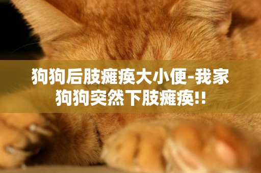 狗狗后肢癱瘓大小便-我家狗狗突然下肢癱瘓!!
