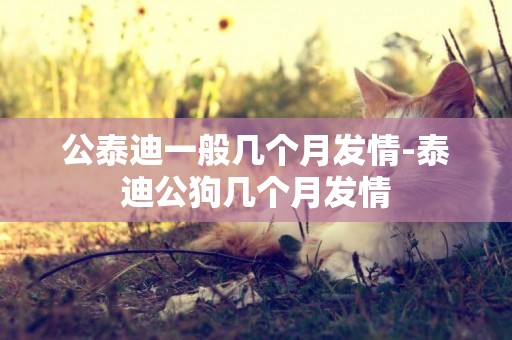公泰迪一般幾個月發情-泰迪公狗幾個月發情