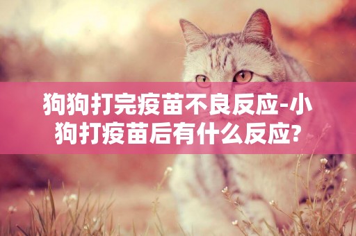 狗狗打完疫苗不良反應-小狗打疫苗后有什么反應?