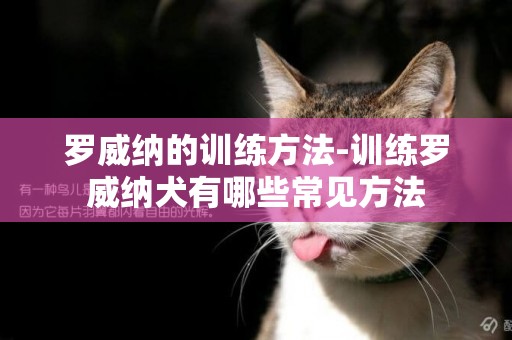 羅威納的訓練方法-訓練羅威納犬有哪些常見方法