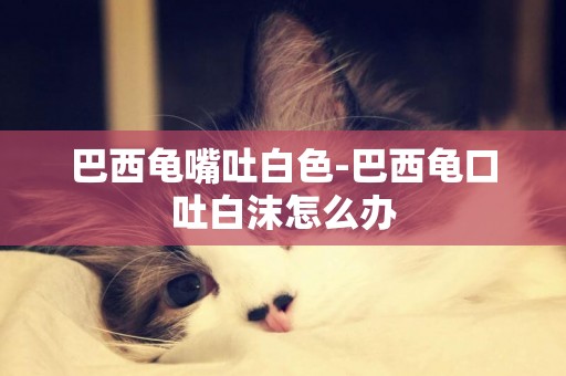 巴西龜嘴吐白色-巴西龜口吐白沫怎么辦