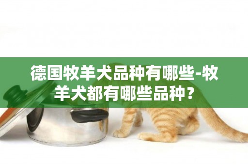 德國牧羊犬品種有哪些-牧羊犬都有哪些品種？