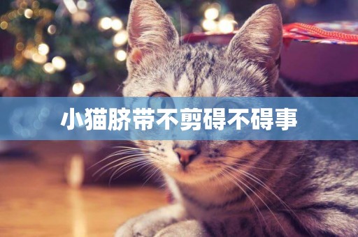 小貓臍帶不剪礙不礙事