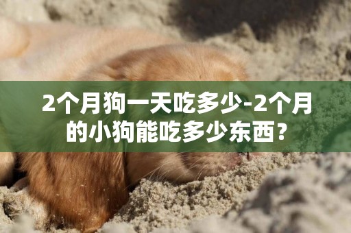 2個月狗一天吃多少-2個月的小狗能吃多少東西？