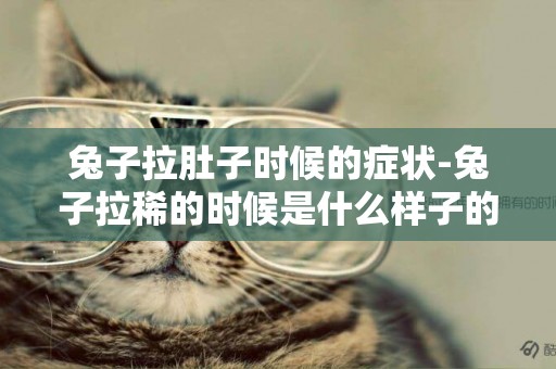 兔子拉肚子時候的癥狀-兔子拉稀的時候是什么樣子的？