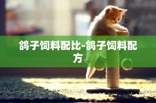 鴿子飼料配比-鴿子飼料配方