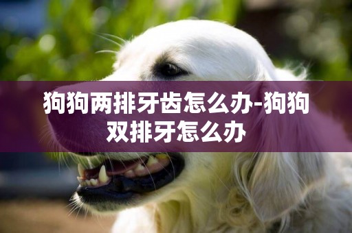 狗狗兩排牙齒怎么辦-狗狗雙排牙怎么辦