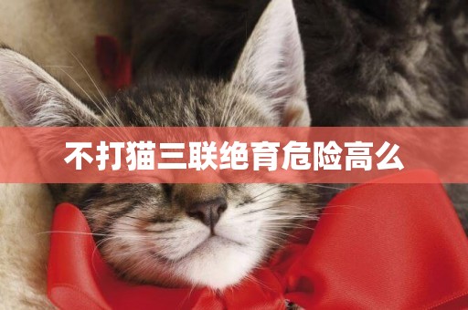 不打貓三聯絕育危險高么