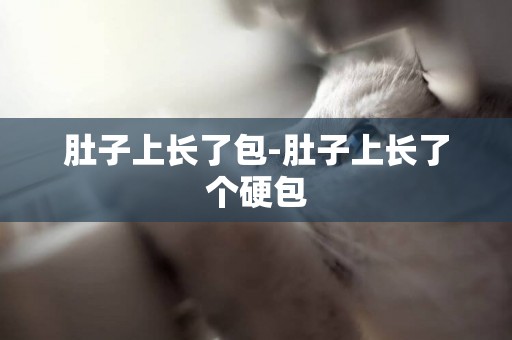 肚子上長了包-肚子上長了個硬包