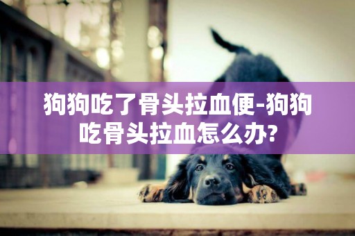 狗狗吃了骨頭拉血便-狗狗吃骨頭拉血怎么辦?