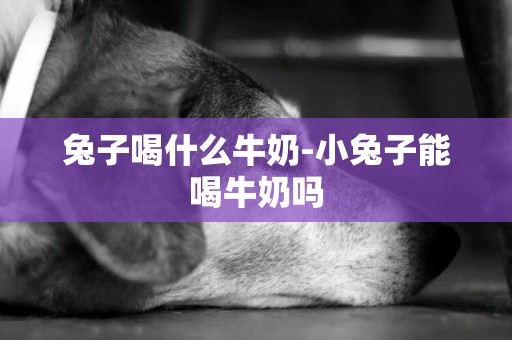 兔子喝什么牛奶-小兔子能喝牛奶嗎