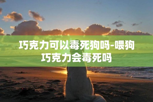 巧克力可以毒死狗嗎-喂狗巧克力會毒死嗎