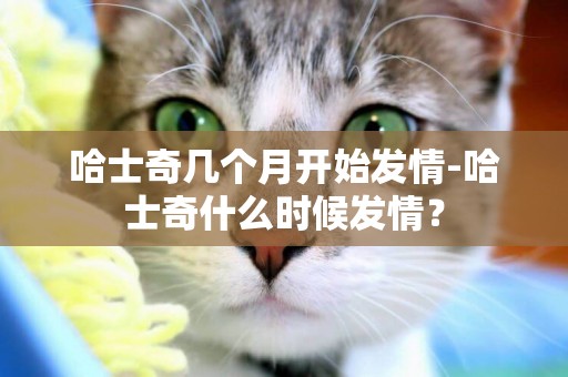 哈士奇幾個月開始發情-哈士奇什么時候發情？